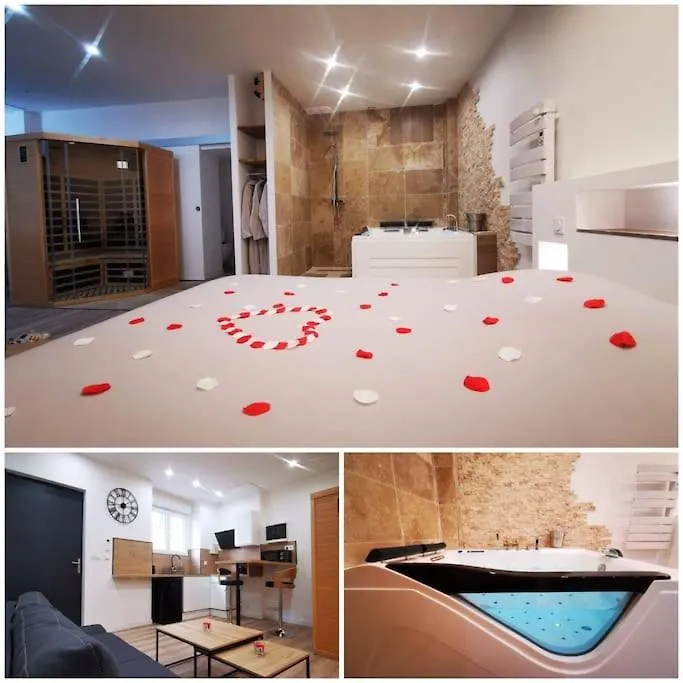 Appartement Le Temple Du Spa Vienne  France