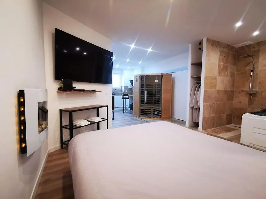 Appartement Le Temple Du Spa Vienne  France