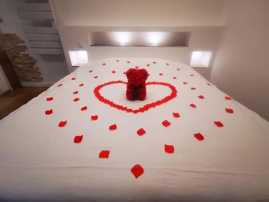 Apartment Le Temple Du Spa Vienne  France
